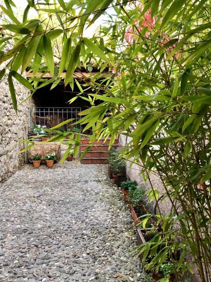 La Posada De Lola El Molar Extérieur photo